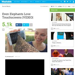Even Elephants Love Touchscreens