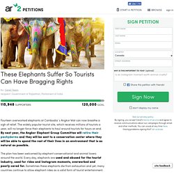texte de la pétition: These Elephants Suffer So Tourists Can Have Bragging Rights