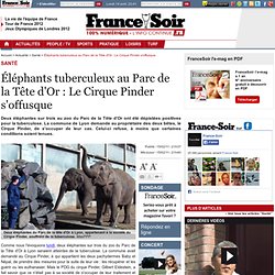 Éléphants tuberculeux au Parc de la Tête d'Or : Le Cirque Pinder s'offusque
