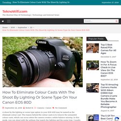 How To Eliminate Colour Casts With The Shoot By Lighting Or Scene Type On Your Canon EOS 80D