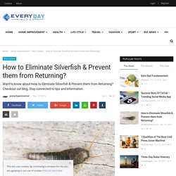 How to Eliminate Silverfish & Prevent them from Returning? - Every Day Blogs - Guest Post, Magazine and News