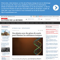 Des plantes avec des gènes de souris pour éliminer les substances toxiques - Dernières infos - Société - La Voix de la Russie