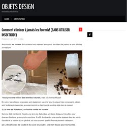 Comment éliminer à jamais les fourmis! (SANS UTILISER INSECTICIDE) – Objets design