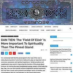 DAN TIEN: The ‘Field Of Elixir’ Is More Important To Spirituality Than The Pineal Gland