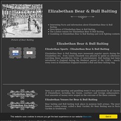 Elizabethan Bear & Bull Baiting