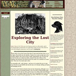 WAG: Elko Tract: Exploring the Lost City