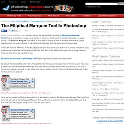 Photoshop Selections - Elliptical Marquee Tool