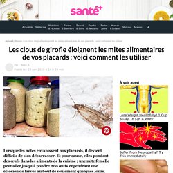 Les clous de girofle éloignent les mites alimentaires de vos placards : voici comment les utiliser