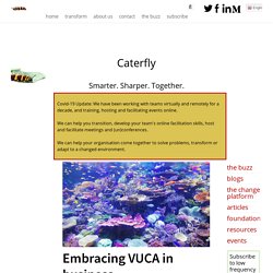 Embracing VUCA in business – Welcome to Caterfly