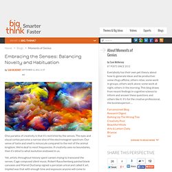 Embracing the Senses: Balancing Novelty and Habituation