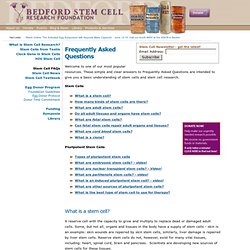 What is a Stem Cell? What is an embryonic stem cell? Stem Cell FAQs - Bedford Stem Cell Research Foundation