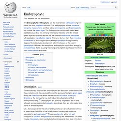 Embryophyte