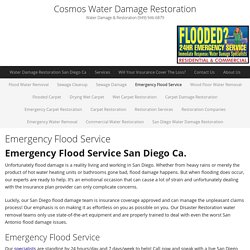 Emergency Flood Service