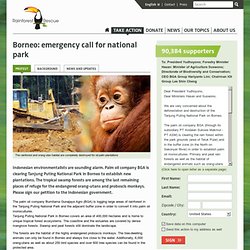 Borneo: Emergency Call for National Park
