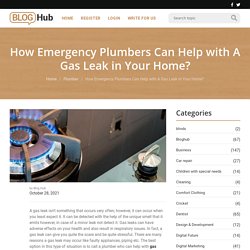 How Emergency Plumbers Can Help with A Gas Leak in Your Home?Blog Hub