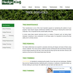 Hire a professional arborist for tree removal - HedgekingOttawa