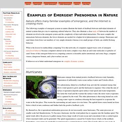 Emergent Phenomena in Nature