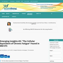 Emerging Insights #II: "The Cellular Equivalent of Chronic Fatigue" Found in ME/CFS