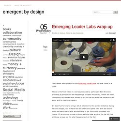 Video: Emerging Leader Labs Wrap-up