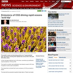 Emissions of CO2 driving rapid oceans 'acid trip'
