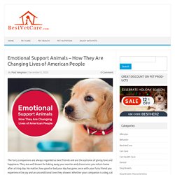 Emotional Support Animals – How They Are Changing Lives of American People