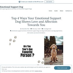 Top 4 Ways Your Emotional Support Dog Shows Love and Affection Towards You – Emotional Support Dog