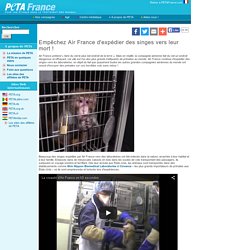 Empêchez Air France d'expédier des singes vers leur mort !