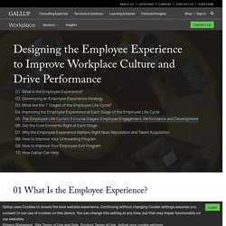 The Employee Experience and a Great Workplace Culture - Gallup