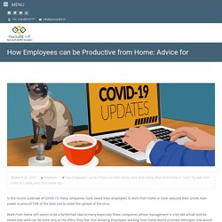 How Employees can be Productive from Home: Advice for Employers