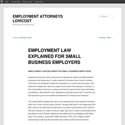 EMPLOYMENT LAW EXPLAINED FOR SMALL BUSINESS EMPLOYERS
