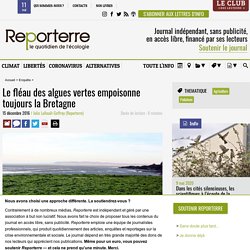 Le fléau des algues vertes empoisonne toujours la Bretagne