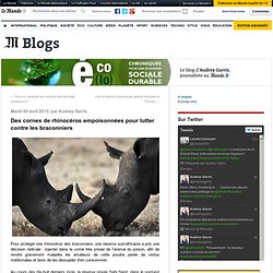 Des cornes de rhinocéros empoisonnées pour lutter contre les braconniers