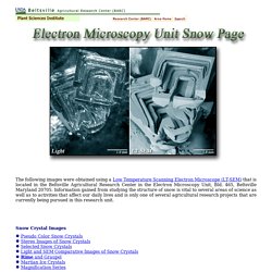 emu.arsusda: Electron Microscopy Unit Snow Page