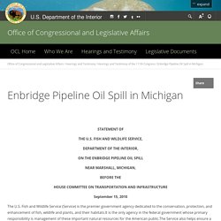 Enbridge Pipeline Oil Spill in Michigan