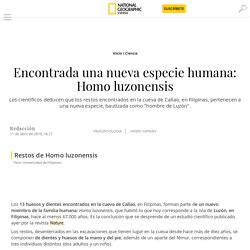 Encontrada una nueva especie humana: Homo luzonensis