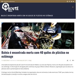 Baleia é encontrada morta com 40 quilos de plástico no estômago - ROUTE Brasil