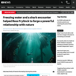 Freezing water and a shark encounter helped Ross Frylinck to forge a powerful relationship with nature