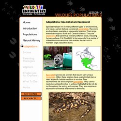 Wildlife Encounters: Adaptations - Specialist & Generalist
