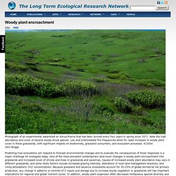 The Long Term Ecological Research Network