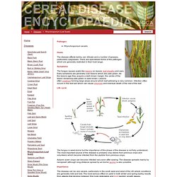 Cereal Disease Encyclopedia - Rhynchosporium (Leaf Scald)