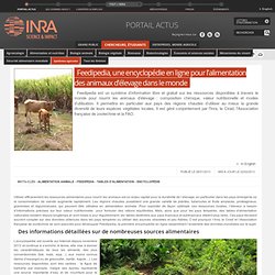 Feedipedia-encyclopédie en ligne-alimentation animale