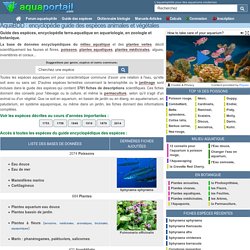 Encyclopédie des poissons, plantes, coraux, invertébrés : AquaBDD - AquaPortail