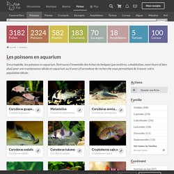 Les poissons en aquarium, encyclopédie et moteur de recherche