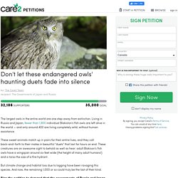texte de la pétition: Don't let these endangered owls' haunting duets fade into silence