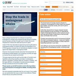 Stop the trade in endangered whales