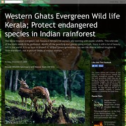 Western Ghats Evergreen Wild life Kerala; Protect endangered species in Indian rainforest: Neyyar Wildlife Sanctuary and Neyyar Dam (30 km)