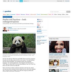 Pandas and Top Gear – both endangered species