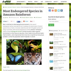 Most Endangered Species in Amazon Rainforest