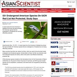 531 Endangered American Species On IUCN Red List Not Protected, Study Says