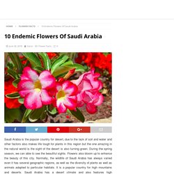 10 Endemic Flowers of Saudi Arabia